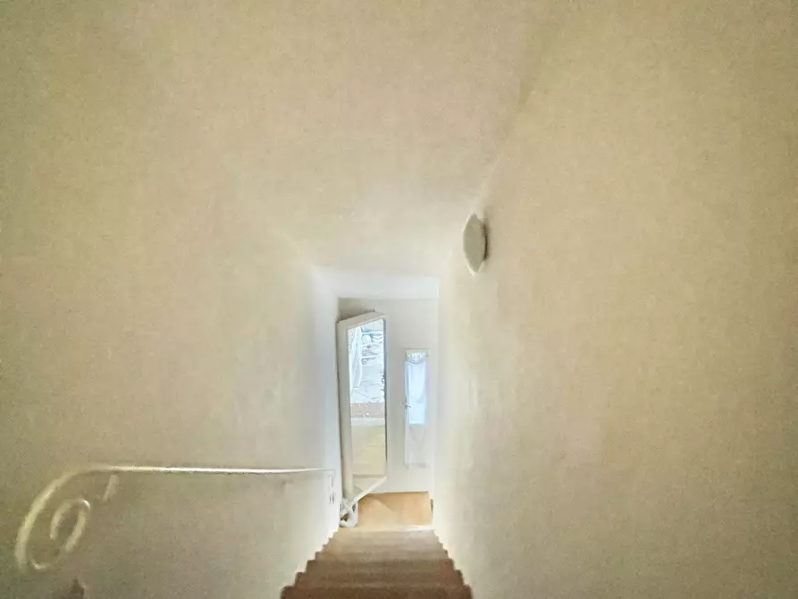 Immagine 21 di Villa in affitto  a Pietrasanta