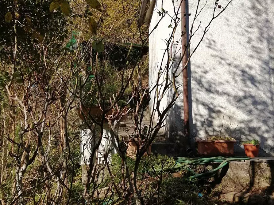 Immagine 31 di Porzione di casa in vendita  a Seravezza