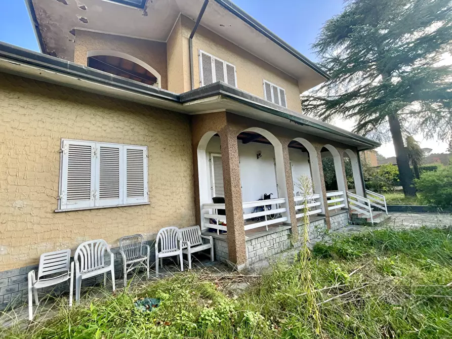 Immagine 6 di Casa indipendente in vendita  a Camaiore