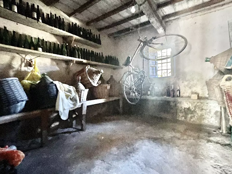 Immagine 4 di Terratetto in vendita  a Montignoso