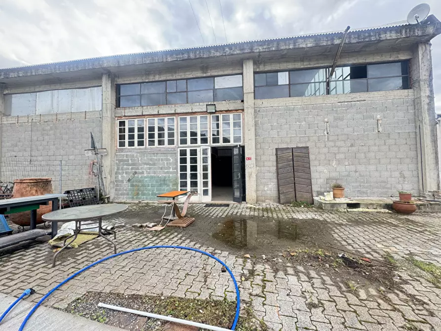 Immagine 11 di Magazzino in affitto  a Pietrasanta
