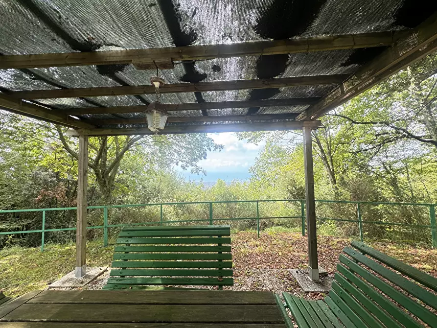 Immagine 5 di Rustico / casale in vendita  a Pietrasanta