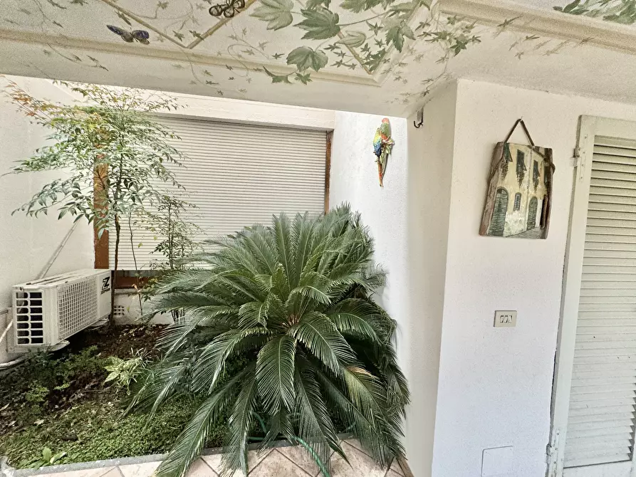 Immagine 11 di Quadrilocale in vendita  a Seravezza