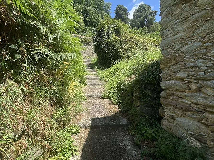 Immagine 27 di Rustico / casale in vendita  a Seravezza