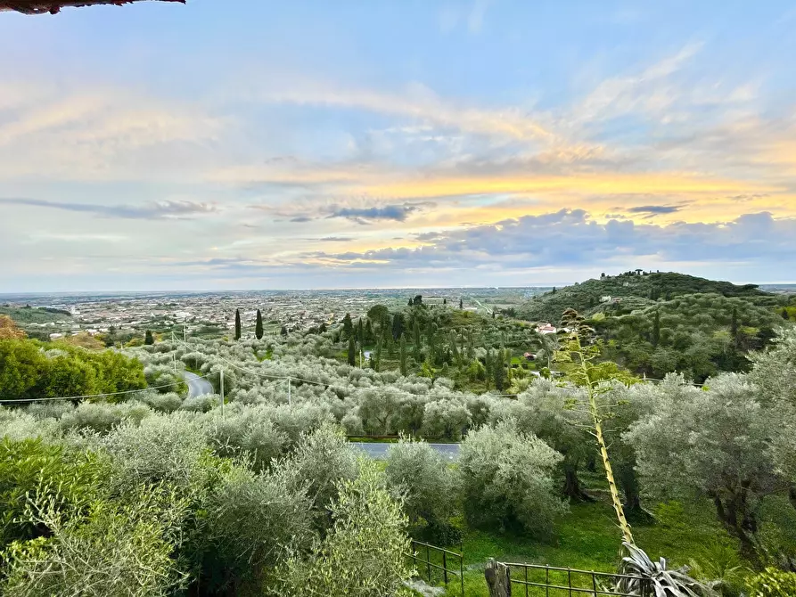 Immagine 66 di Porzione di casa in vendita  a Pietrasanta