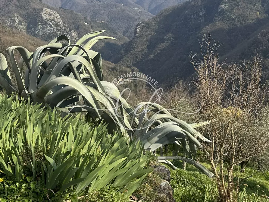 Immagine 6 di Casa indipendente in vendita  a Stazzema