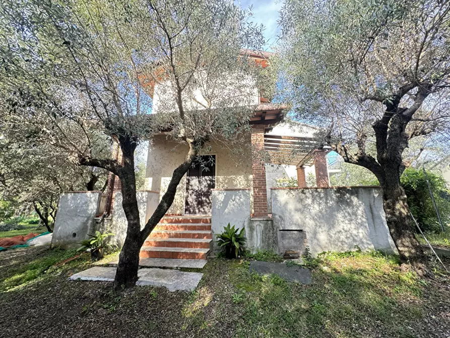 Immagine 7 di Casa indipendente in affitto  a Seravezza