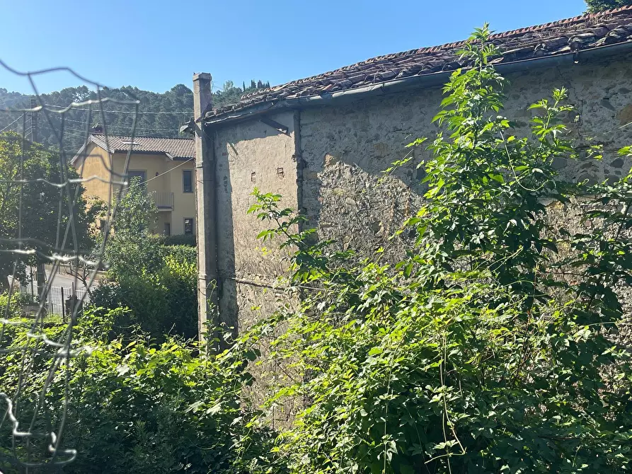Immagine 3 di Rustico / casale in vendita  a Camaiore