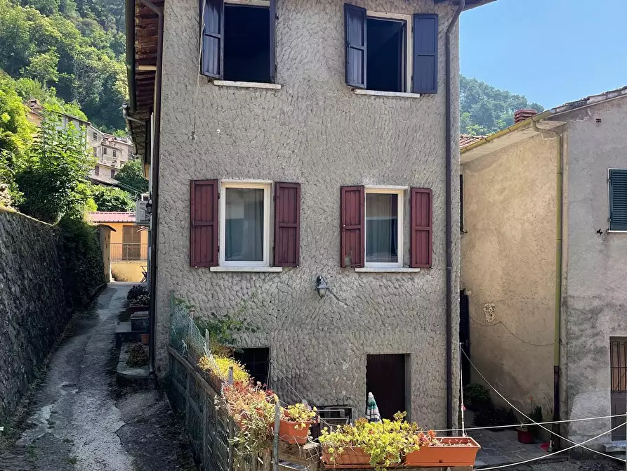 Immagine 38 di Casa semindipendente in vendita  a Stazzema