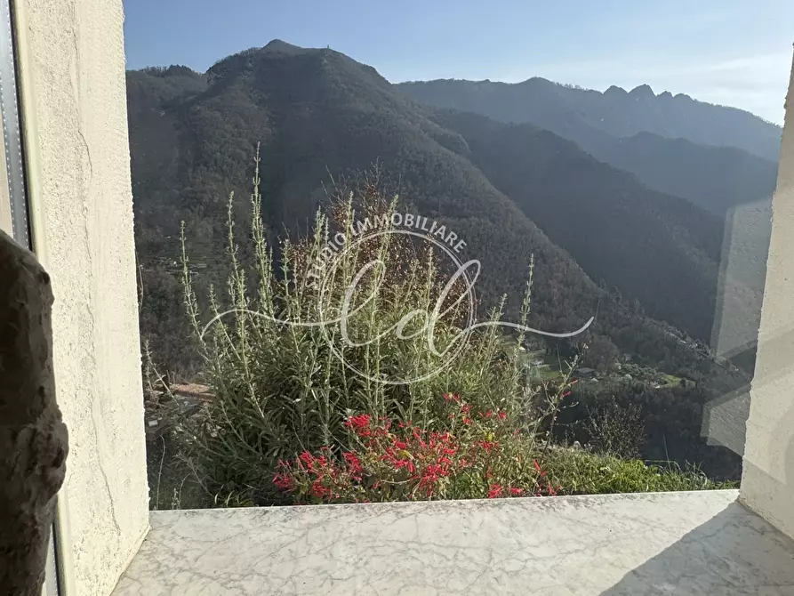 Immagine 42 di Casa indipendente in vendita  a Stazzema