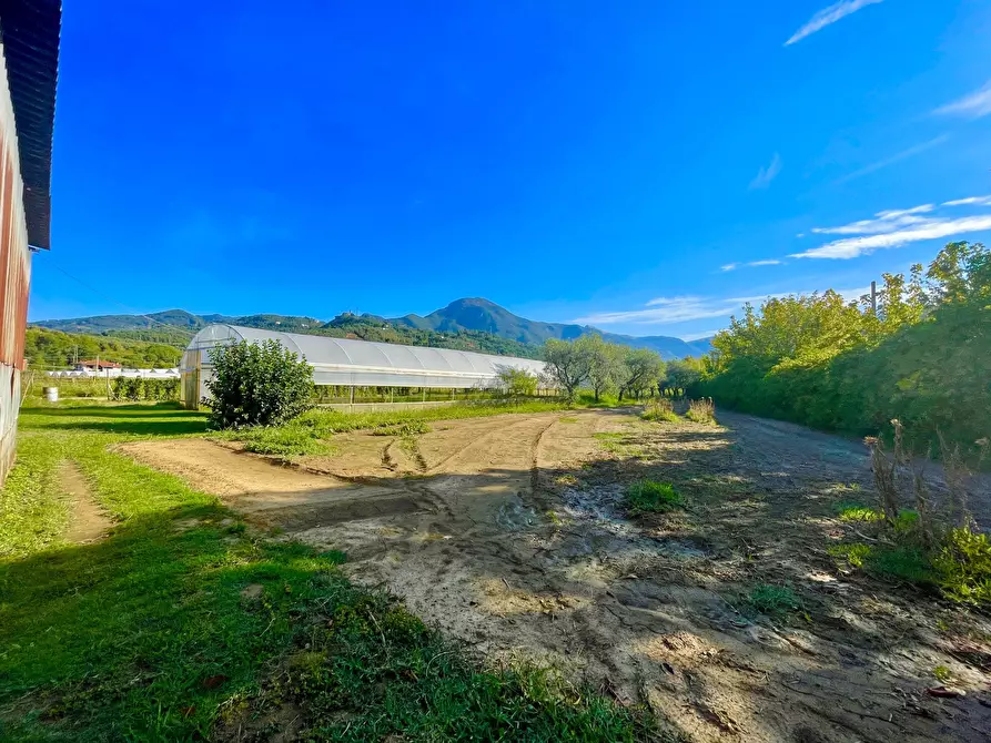 Immagine 2 di Rustico / casale in vendita  a Camaiore