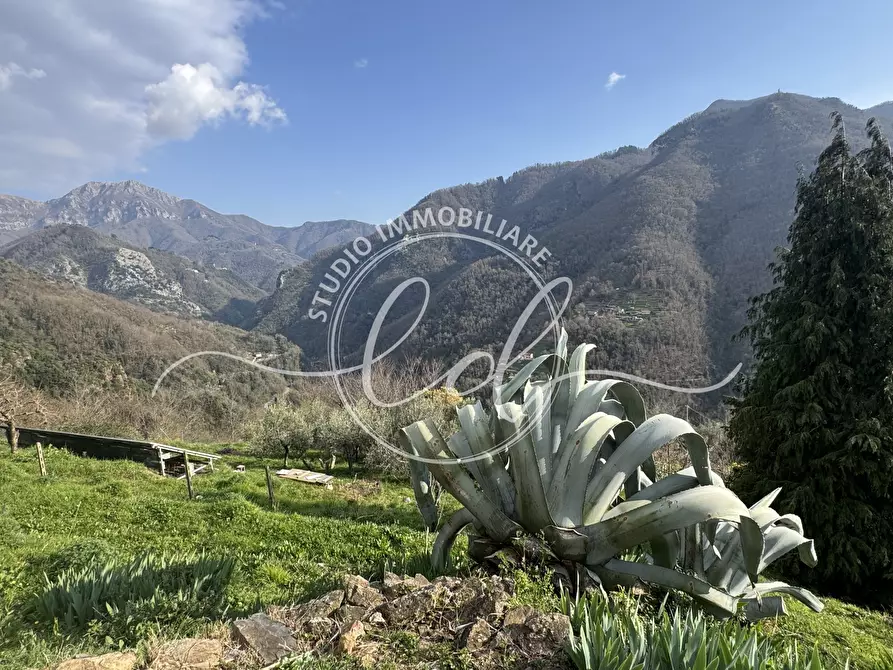 Immagine 9 di Casa indipendente in vendita  a Stazzema