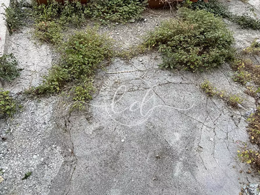 Immagine 17 di Terratetto in vendita  a Montignoso