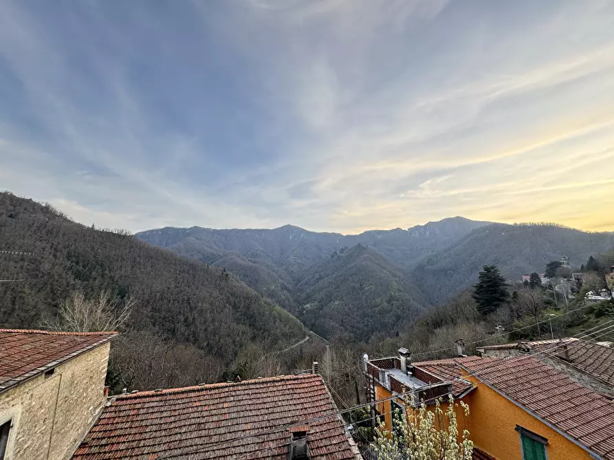 Immagine 39 di Terratetto in vendita  a Stazzema