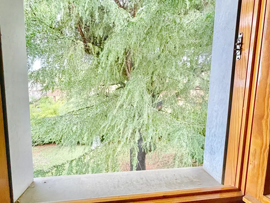 Immagine 26 di Casa indipendente in vendita  a Seravezza