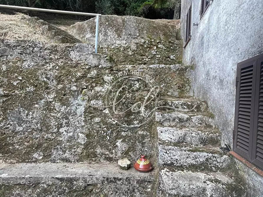 Immagine 33 di Porzione di casa in vendita  a Camaiore