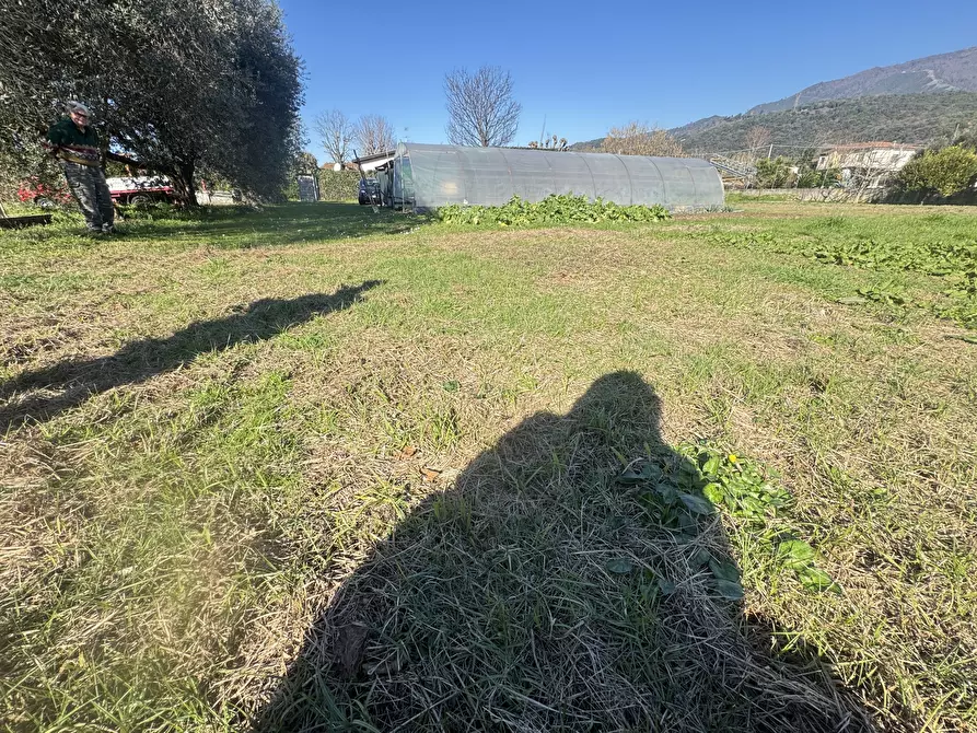 Immagine 9 di Terreno agricolo in vendita  a Pietrasanta