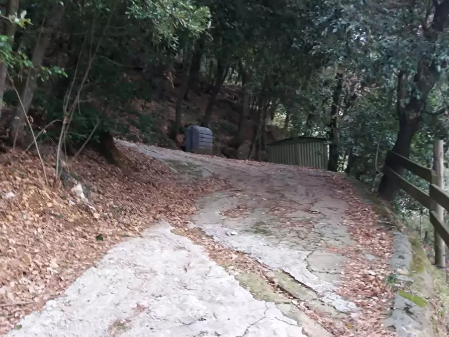 Immagine 11 di Porzione di casa in vendita  a Pietrasanta