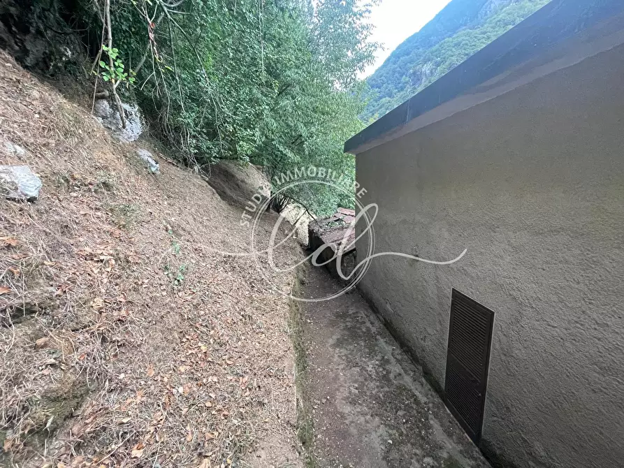 Immagine 41 di Porzione di casa in vendita  a Camaiore