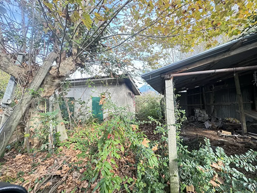 Immagine 65 di Rustico / casale in vendita  a Pietrasanta