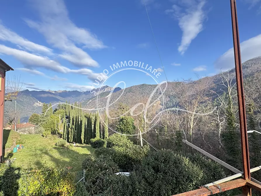 Immagine 28 di Terratetto in vendita  a Pietrasanta