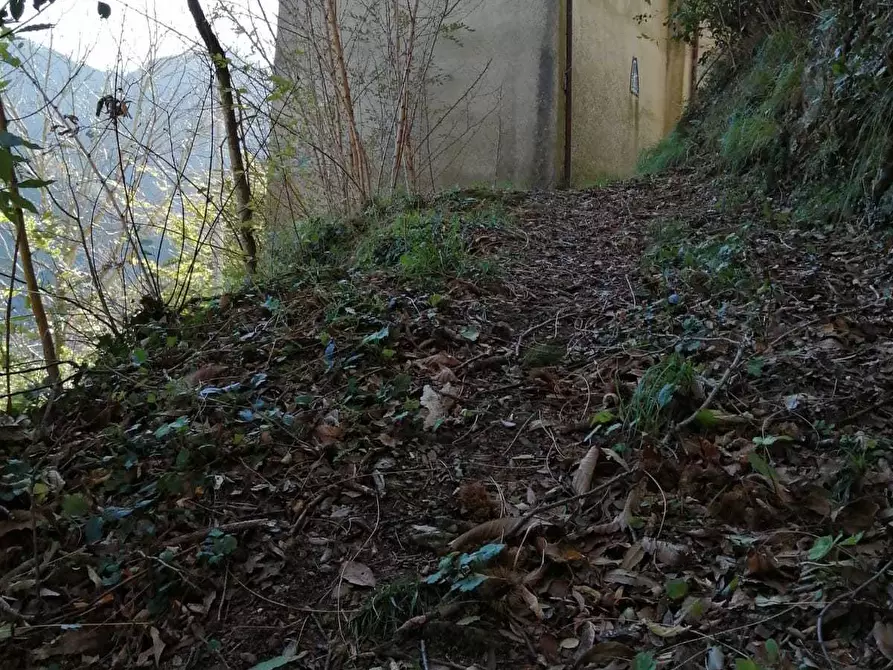 Immagine 22 di Porzione di casa in vendita  a Seravezza