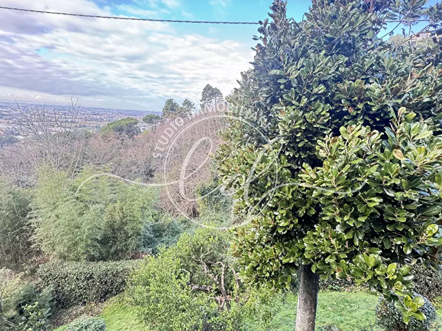 Immagine 35 di Casa indipendente in vendita  a Massarosa