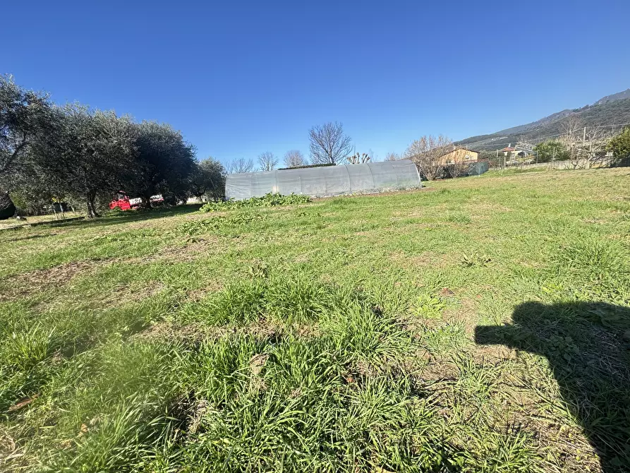 Immagine 10 di Terreno agricolo in vendita  a Pietrasanta