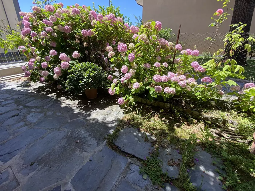 Immagine 2 di Trilocale in affitto  a Seravezza