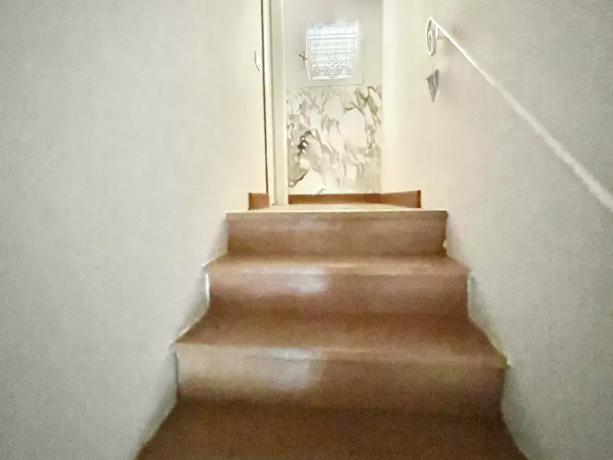 Immagine 22 di Villa in affitto  a Pietrasanta