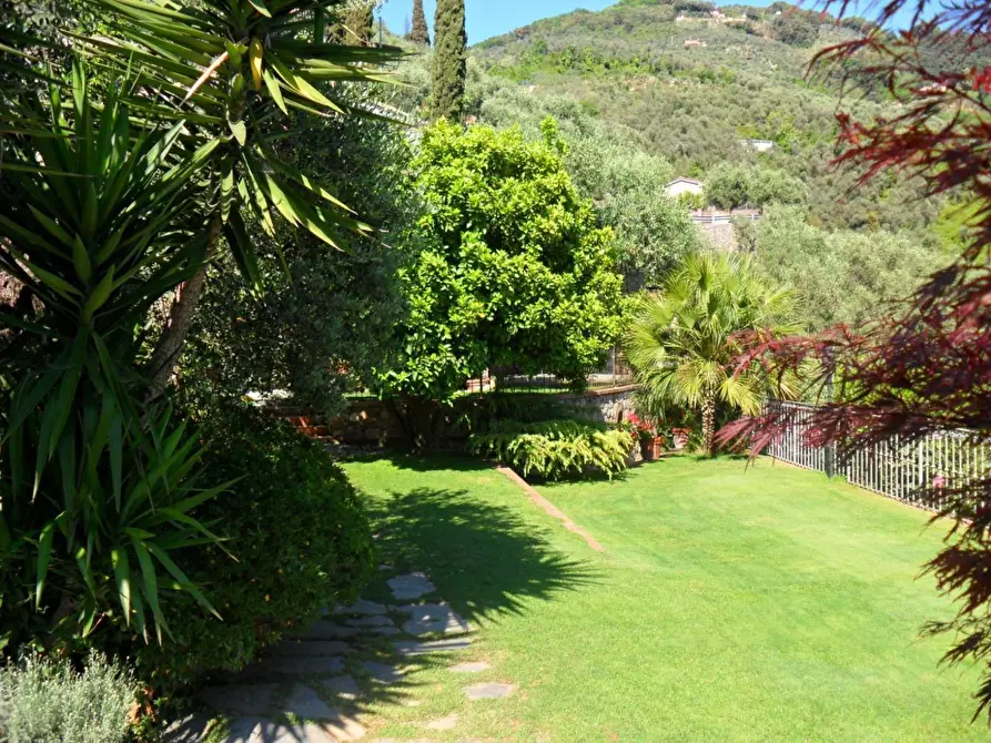 Immagine 14 di Casa indipendente in affitto  a Pietrasanta