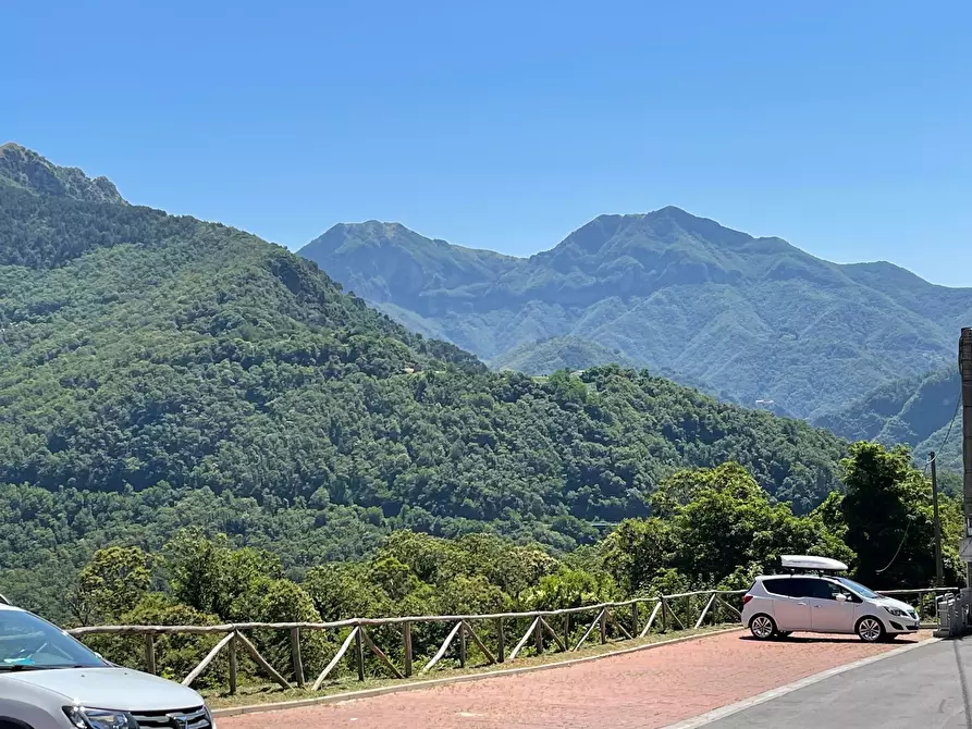 Immagine 29 di Terratetto in vendita  a Seravezza