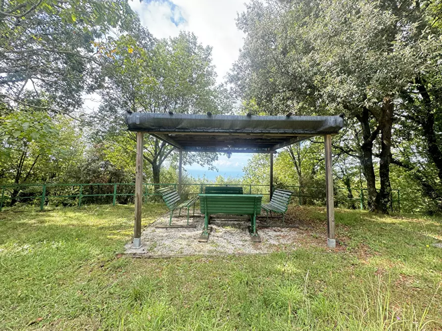 Immagine 30 di Rustico / casale in vendita  a Pietrasanta