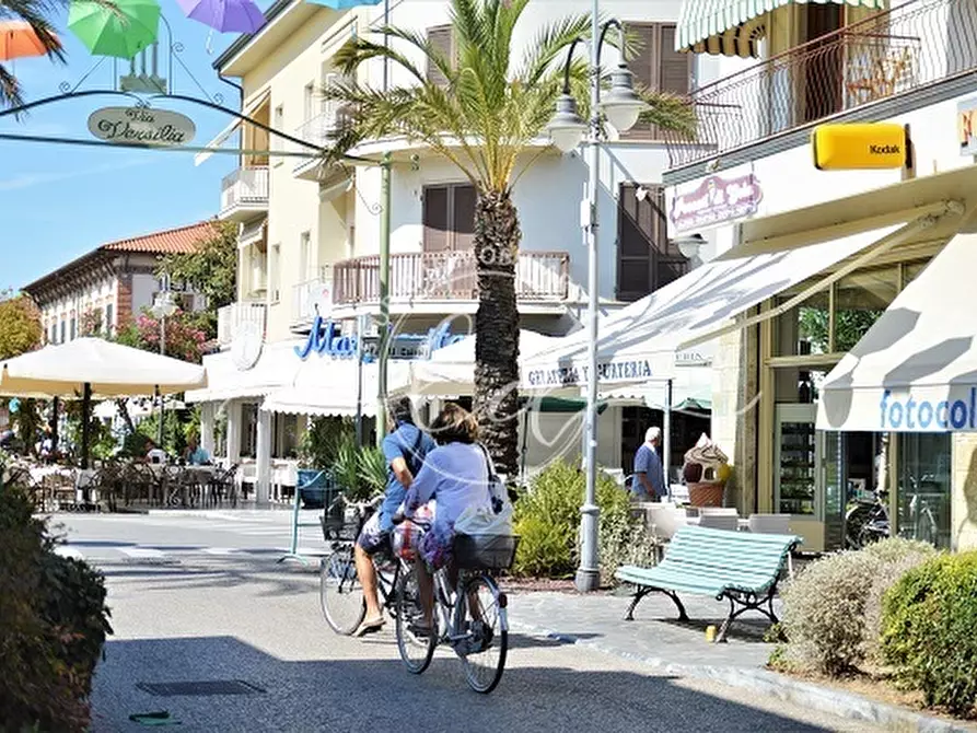 Immagine 8 di Capannone industriale in affitto  a Pietrasanta