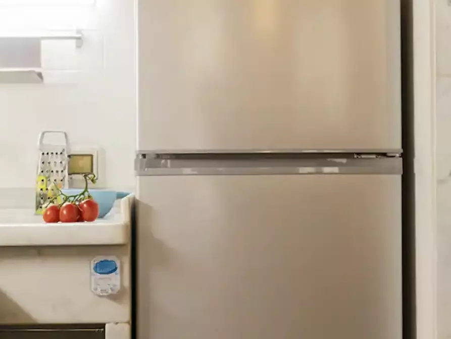 Immagine 27 di Terratetto in affitto  a Pietrasanta