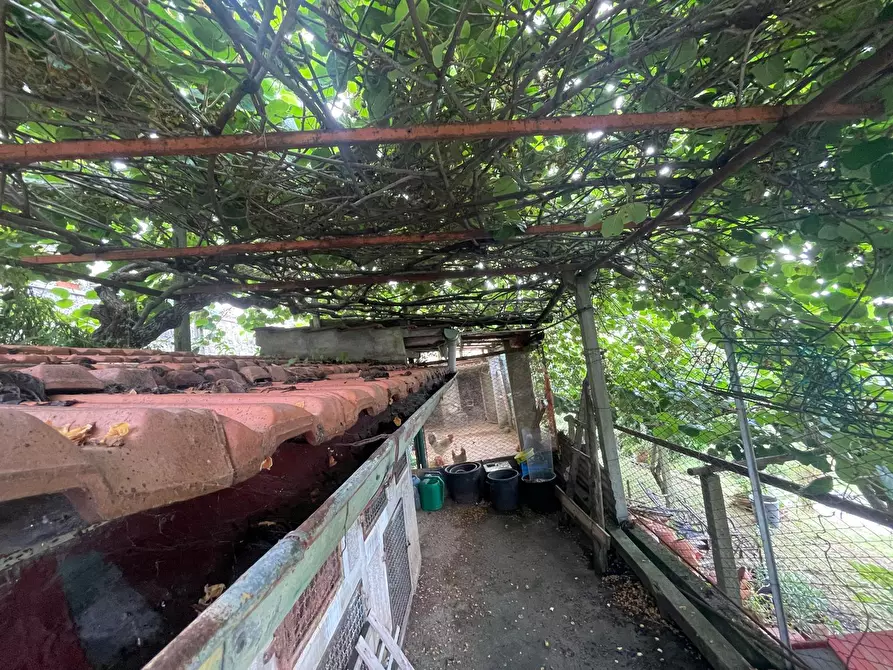 Immagine 65 di Porzione di casa in vendita  a Pietrasanta