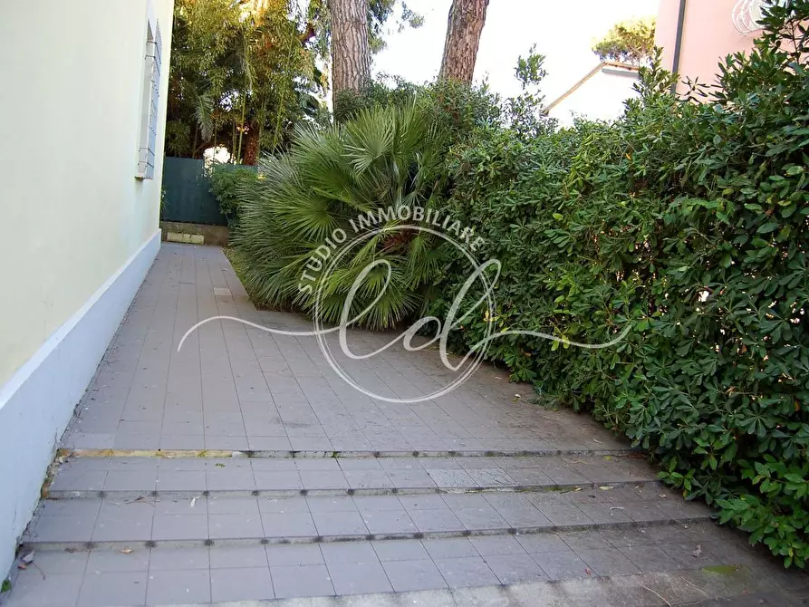 Immagine 20 di Pentalocale in affitto  a Camaiore