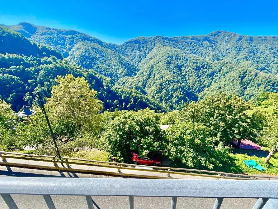 Immagine 47 di Casa indipendente in vendita  a Stazzema