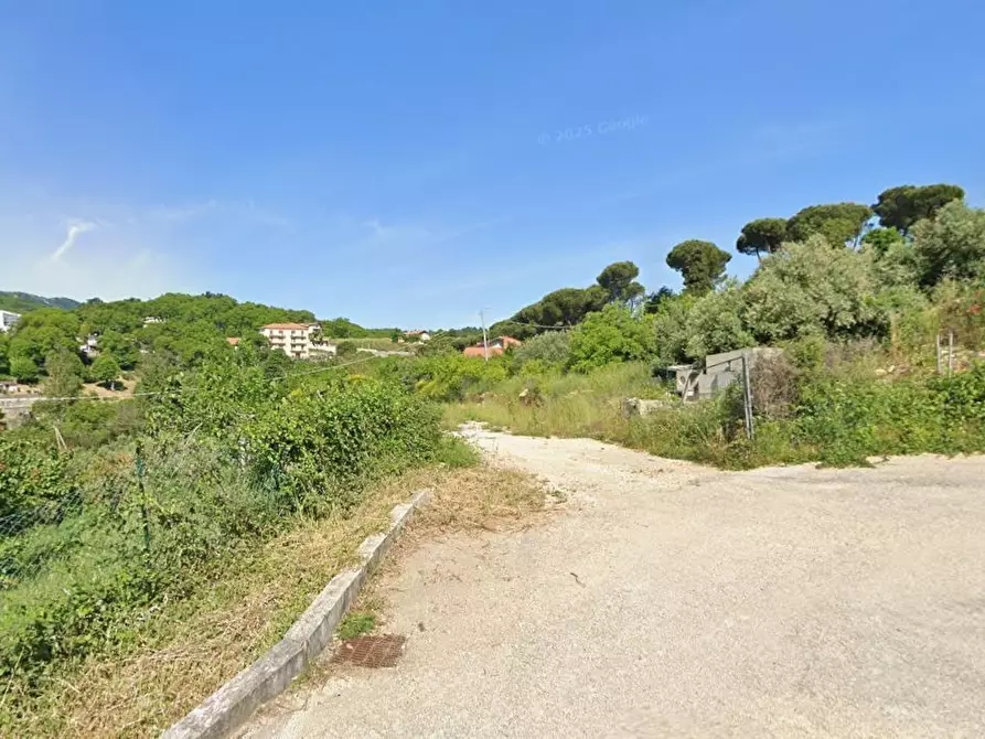 Immagine 3 di Terreno agricolo in vendita  in Via delle Mele a Segni