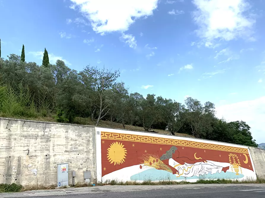 Immagine 9 di Terreno agricolo in vendita  in Via San Giorgetto a Anagni