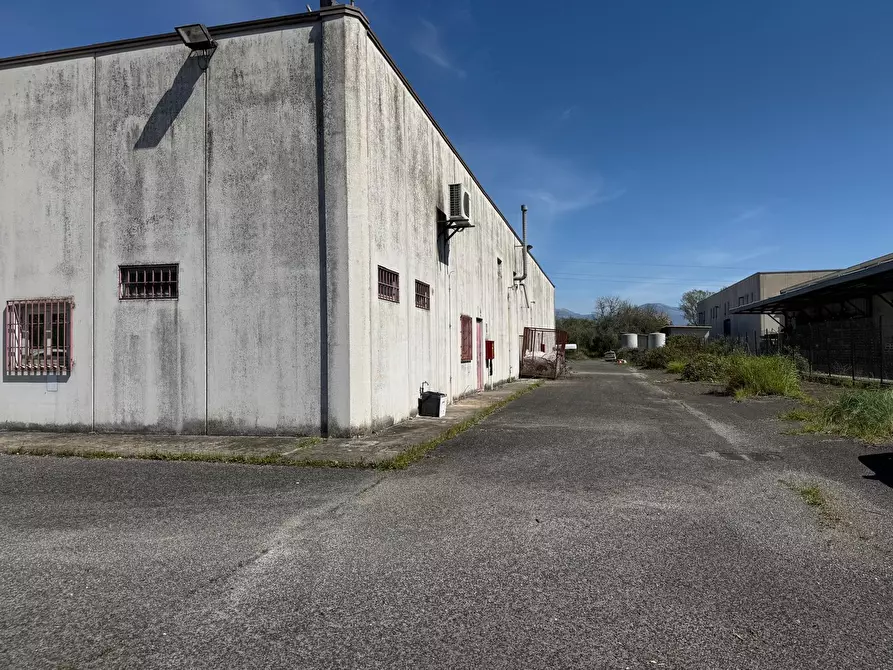 Immagine 16 di Attività artigianale in vendita  in Via Morolense a Patrica