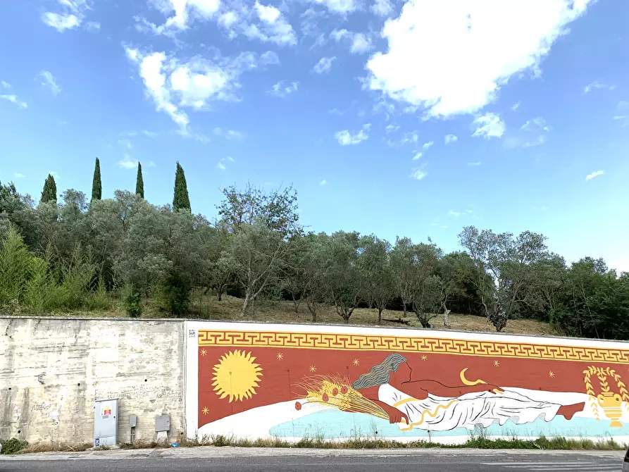 Immagine 1 di Terreno agricolo in vendita  in Via San Giorgetto a Anagni