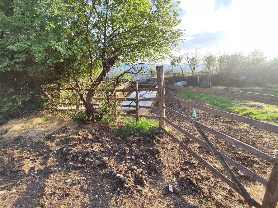 Immagine 9 di Terreno agricolo in vendita  in SP53a 53 a Tivoli