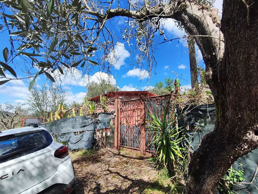 Immagine 5 di Terreno agricolo in vendita  in Via Dello Scalo Ferroviario 12 a Marcellina