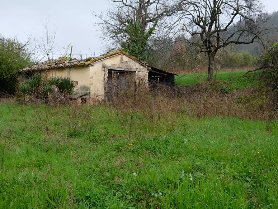 Immagine 6 di Terreno agricolo in vendita  in Contrada Salerna 129 a Cupramontana