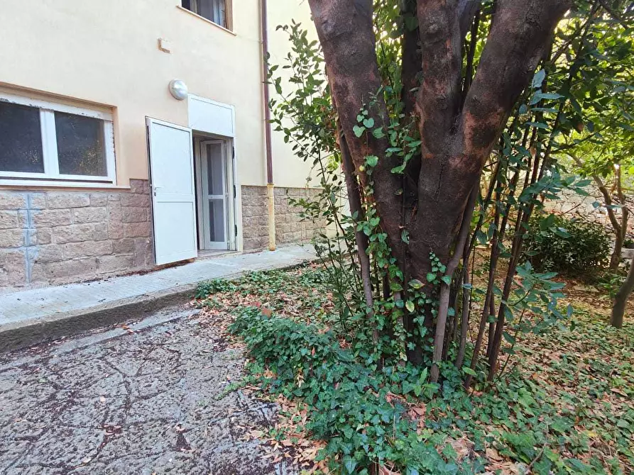 Immagine 9 di Bilocale in vendita  a Sassari