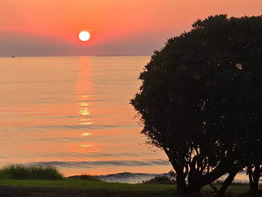 Immagine 1 di Rustico / casale in affitto  in Via delle Mattanze 1 a Stintino