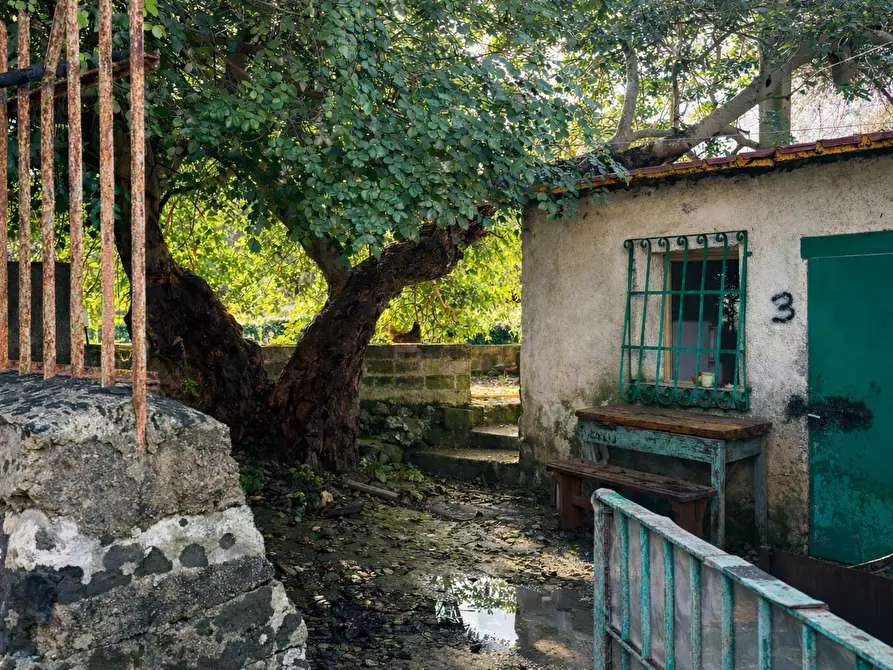 Immagine 5 di Terreno agricolo in vendita  in CONTRADA SABATU' a Canicattini Bagni