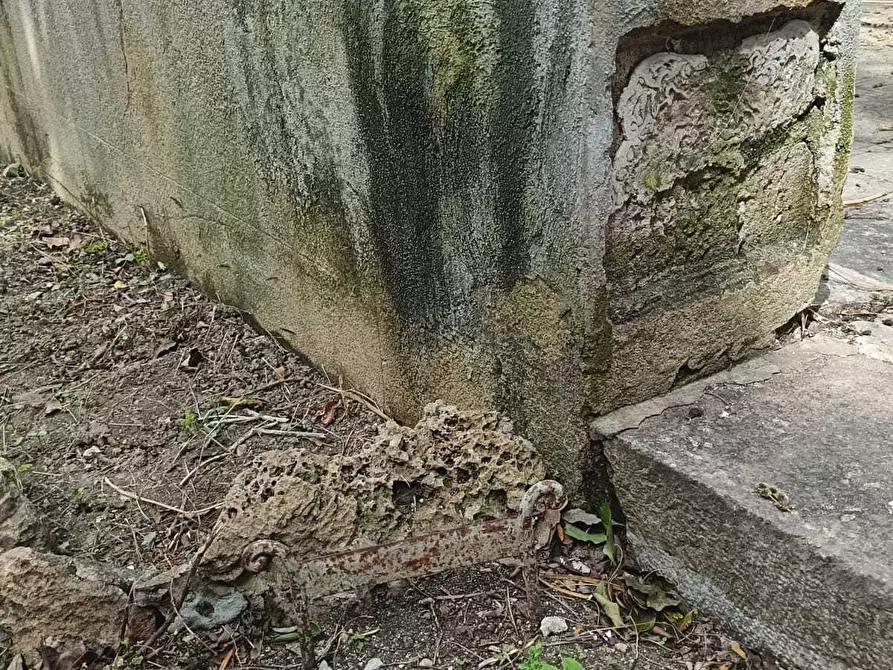 Immagine 50 di Villa in vendita  a Valderice