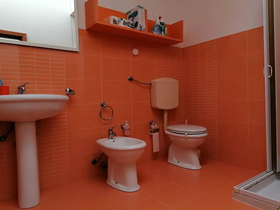 Immagine 24 di Trilocale in affitto  a Balestrate